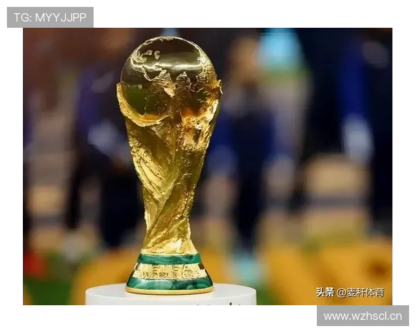 世界杯参赛队伍已定28支亚非直通名额全部确认